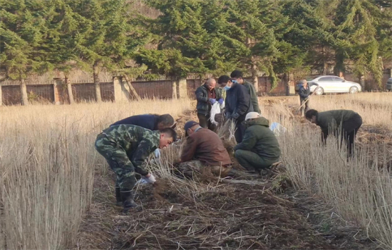 1701755347983585.jpg 0510工作動態(tài)苗木2.jpg