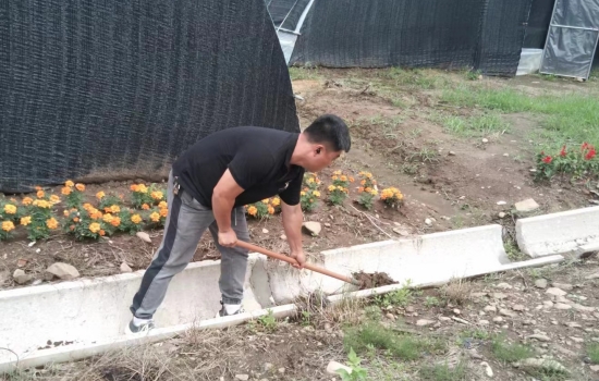 1721788245776839.jpg 特產(chǎn)1.jpg