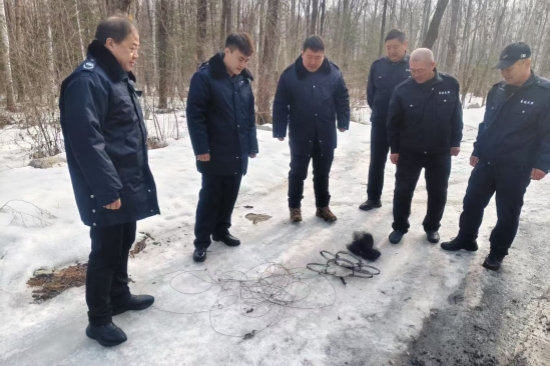 1741833767370867.jpg 大川林場開展“清山清套”專項行動守護(hù)野生動物家園(3).jpg