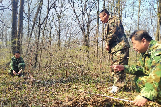 1746512424171585.jpg 大東林場(chǎng)黨支部開展“科學(xué)造林育林 實(shí)現(xiàn)永續(xù)利用”主題黨日活動(dòng)(1).jpg