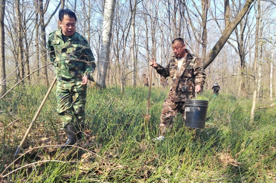 1746512429800910.jpg 大東林場(chǎng)黨支部開展“科學(xué)造林育林 實(shí)現(xiàn)永續(xù)利用”主題黨日活動(dòng)(2).jpg