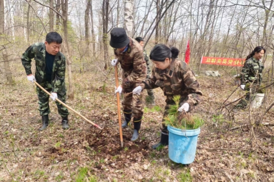 1746580034680292.jpg 營林處:黨旗引領(lǐng)添新綠 植樹造林踐初心(1).jpg