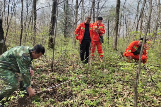 1746585924865877.jpg 大東林場多措并舉 全力守護生態(tài)綠色畫卷(1).jpg