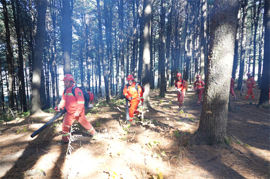 1761809374620295.jpg 興參林場開展實(shí)戰(zhàn)化森林滅火演練(4).jpg