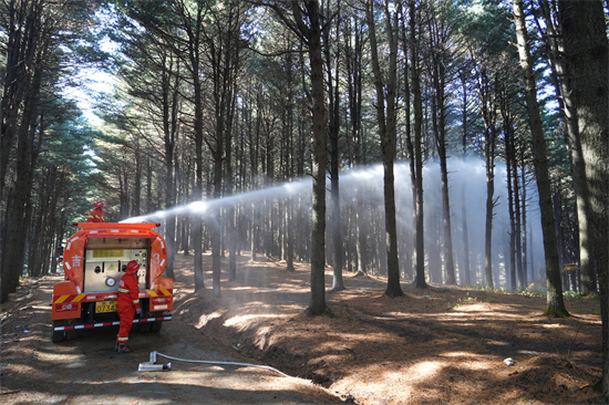 1761809380315292.jpg 興參林場開展實(shí)戰(zhàn)化森林滅火演練(3).jpg