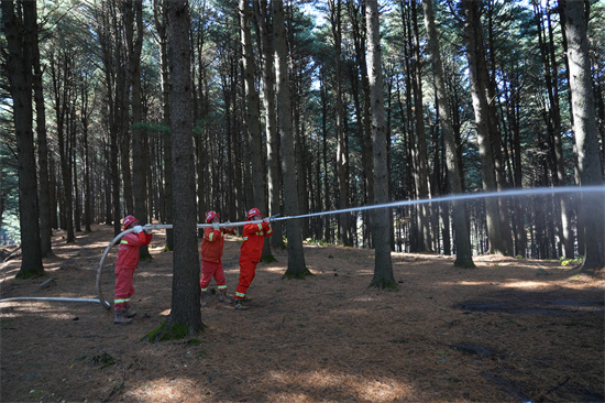 1761809388713480.jpg 興參林場開展實(shí)戰(zhàn)化森林滅火演練(2).jpg