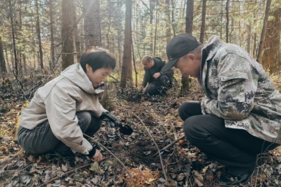 1763962993856081.jpg 泉林公司全面開展越冬前蟲情調查工作(1).jpg