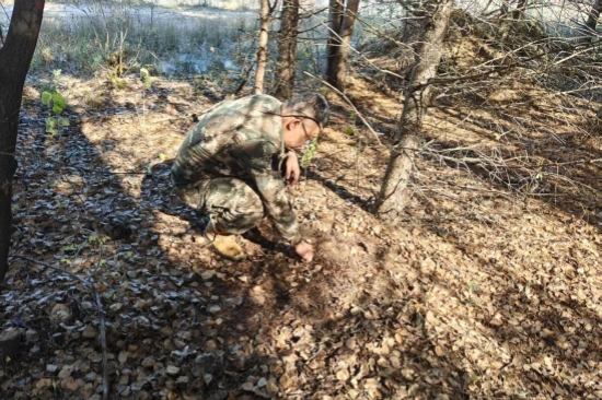 1763963000679422.jpg 泉林公司全面開展越冬前蟲情調查工作(2).jpg