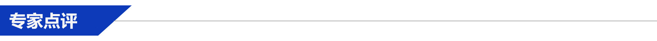 專家點(diǎn)評.jpg